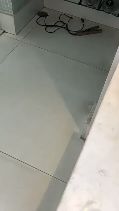 Penultimo dia em São Paulo foi junto com ele, fizemos um job muito foda hoje, estou bem feliz e amei<a href="/tag/work"class="tags"><span>&#35;work</span></a><a href="/tag/job"class="tags"><span>&#35;job</span></a><a href="/tag/sexy"class="tags"><span>&#35;sexy</span></a><a href="/tag/sp"class="tags"><span>&#35;sp</span></a><a href="/tag/pornstar"class="tags"><span>&#35;pornstar</span></a><a href="/tag/petit"class="tags"><span>&#35;petit</span></a><a href="/tag/xvideos"class="tags"><span>&#35;xvideos</span></a>