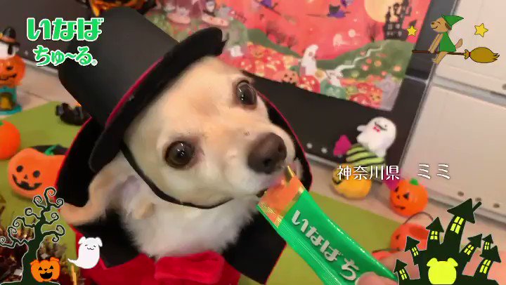 9 Wnkalazs2c M