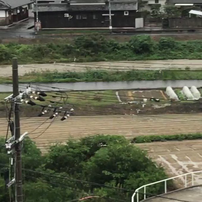 和泉市きまぐれwatchさん がハッシュタグ 和泉市 をつけたツイート一覧 1 Whotwi グラフィカルtwitter分析