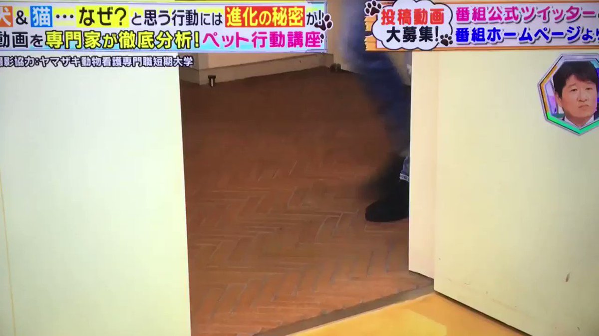 林修の今でしょ講座 Hotワード