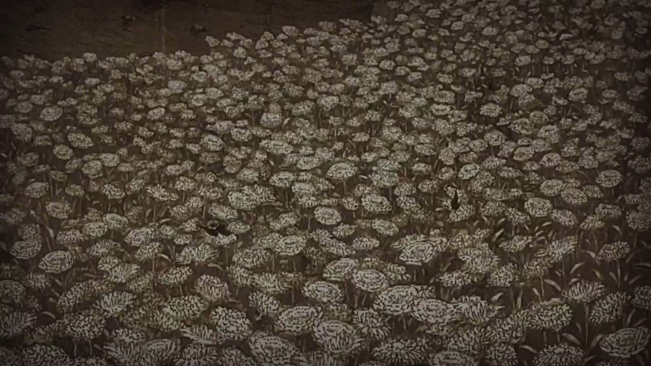 What was this picture at the special ending on episode 49? It's creepy and looks kinda real : r/attackontitan