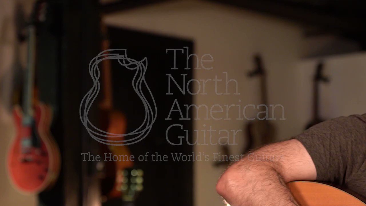 The north american guitar company deals
