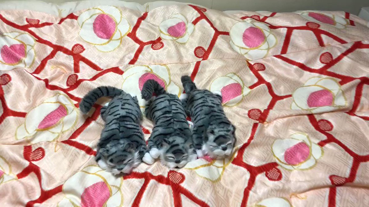 酔っ払った勢いで購入してしまった猫のおもちゃ！ツイッター民からは「可愛い」と好評？！