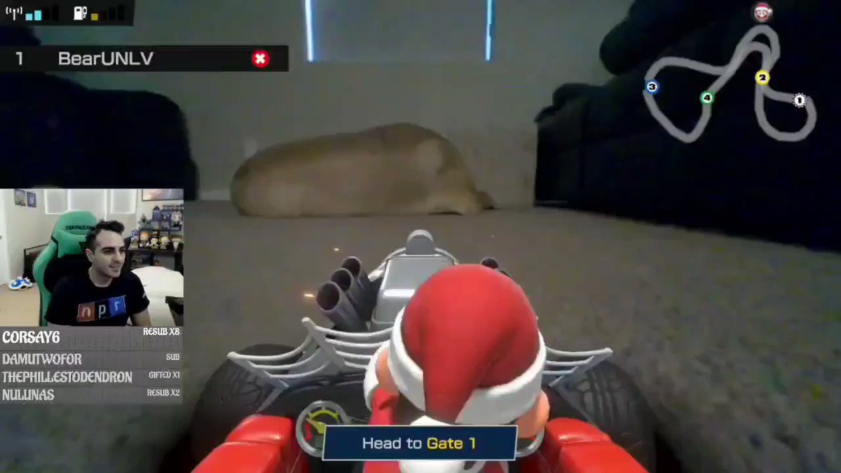 Как домашние животные реагируют на Mario Kart