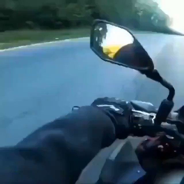 バイクを運転中の男性が道に何かを発見…！なんとうずくまっている子猫でした！！