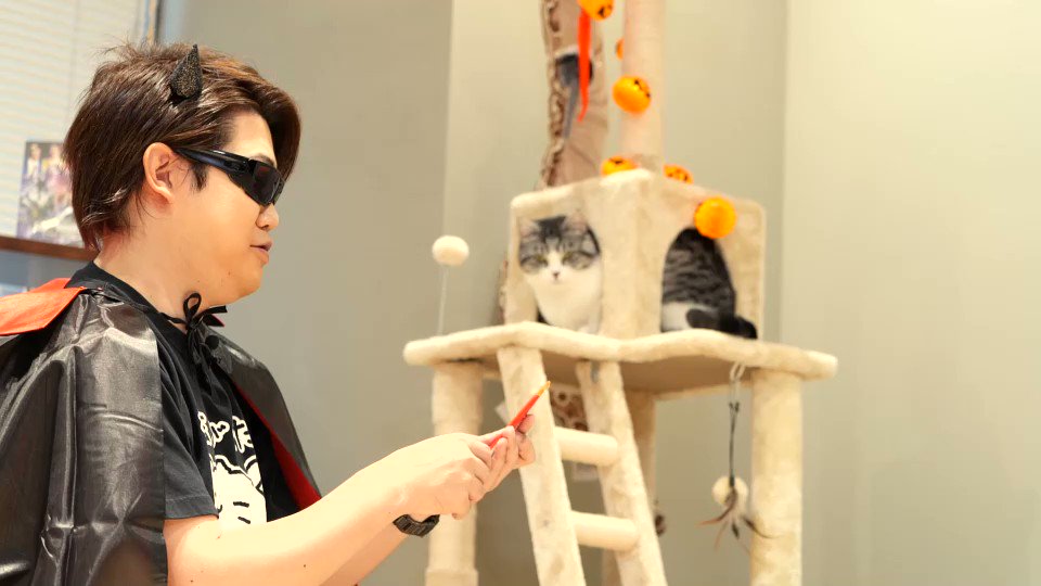 えおえおのクロエちゃん やったねfb 友達が増えるよ 特別ゲスト登場 猫と過ごすハロウィン スコティッシュフォールド Youtu Be Tfosixmvpzy Youtubeより 話題の画像がわかるサイト えおえおのクロエちゃん やったねfb 友達が増えるよ 特別ゲスト登場 猫と過ごすハロウィン スコティッシュフォールド Youtu Be Tfosixmvpzy Youtubeより 話題の画像がわかるサイト