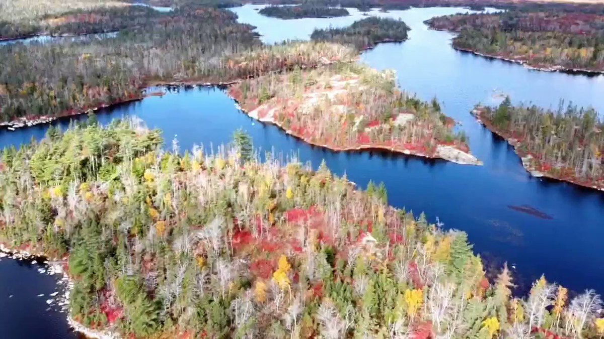 This week, our team was out exploring Blue Mountain - Birch Cove Lakes. Check out this video taken with our drone of this spectacular urban wilderness park in the fall colours. https://t.co/UU7Hdwmvoo