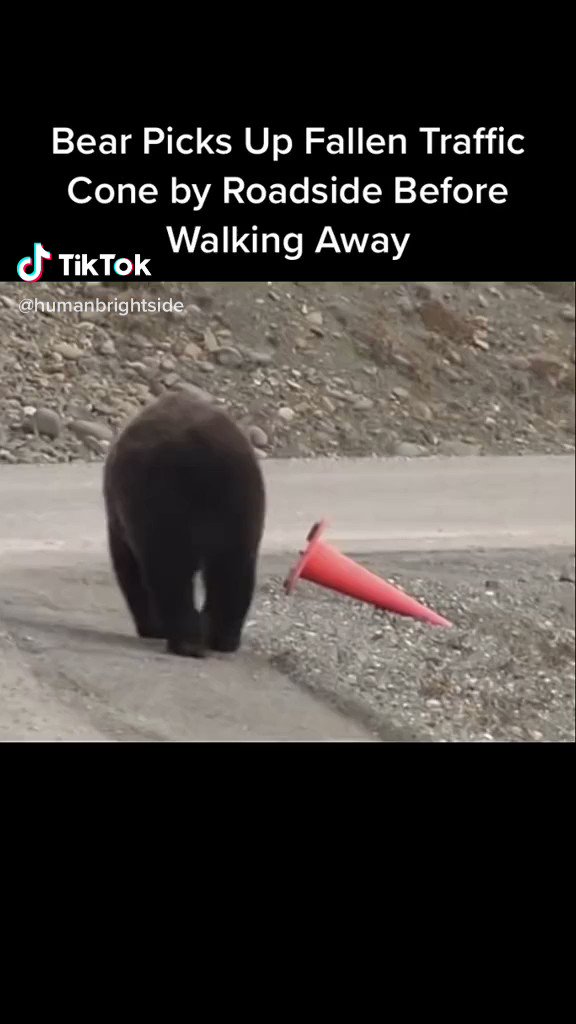 They respect our stuff .... we should respect theirs #belikethebear #care #nature https://t.co/WU23X5CxSh