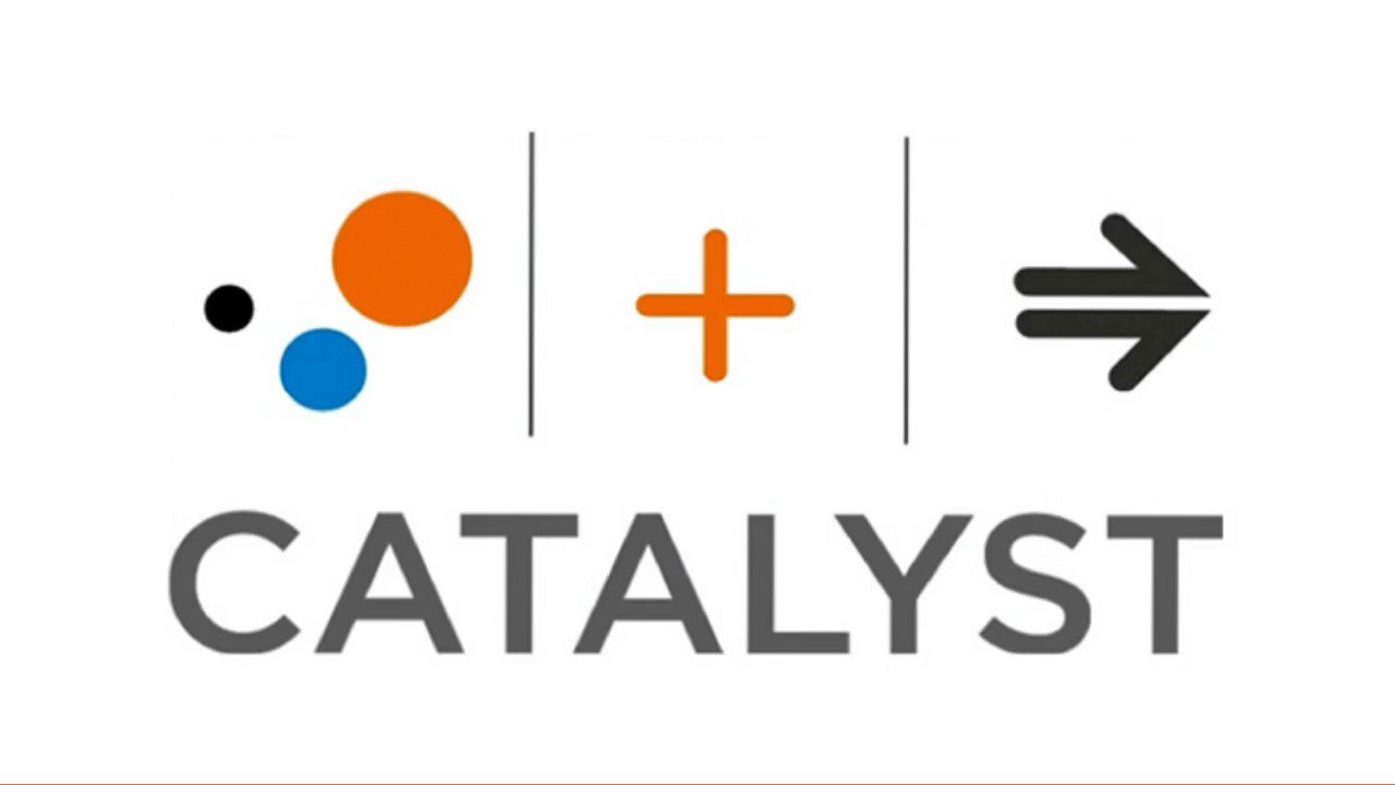 Catalyst Business Coaching & Development / Twitter