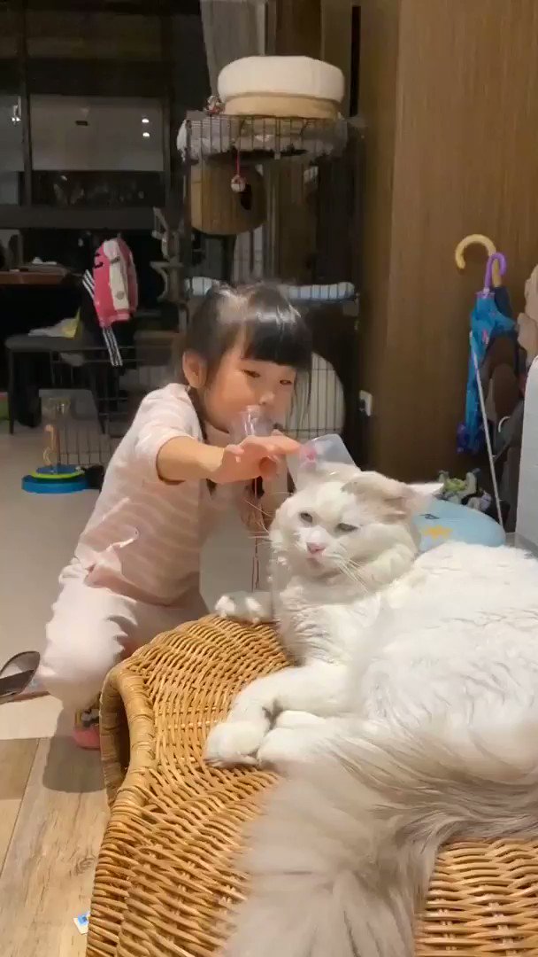 脳内に語りかけている子供？お猫様の表情にご注目！ｗｗ