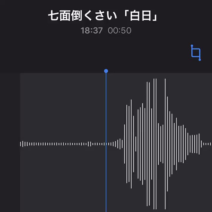 ぴろぱる 新作 ボトム 七面倒くさい 白日 を歌いました