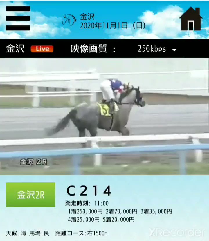 この子がお母さんになりました！
デビュー前、馬運車の事故で大怪我にあい なんとかデビューするもJRAでは成績が振るわず…金沢に移籍。下の動画は移籍後に初勝利をした日😊✨✨

ご出産おめでとうございます
元気な男の子👶👏
2023、3,22 

#ミライヘノノゾミ 