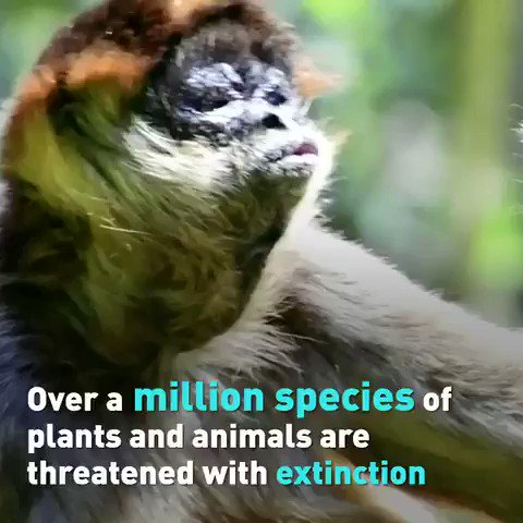 SDG2030 on Twitter: SDG2030 on Twitter: