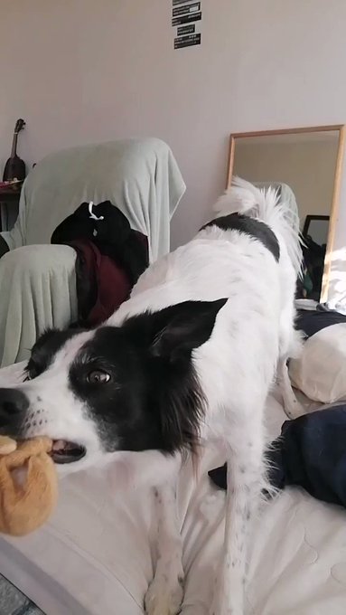 He is so damn cute WHY https://t.co/xAiYTq64Et<a href="/tag/paypig"class="tags"><span>#paypig</span></a><a href="/tag/walletrinse"class="tags"><span>#walletrinse</span></a><a href="/tag/walletdrain"class="tags"><span>#walletdrain</span></a>