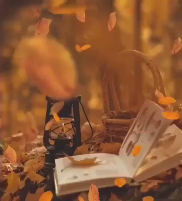 @Mimi63191036's video Tweet @Mimi63191036's video Tweet