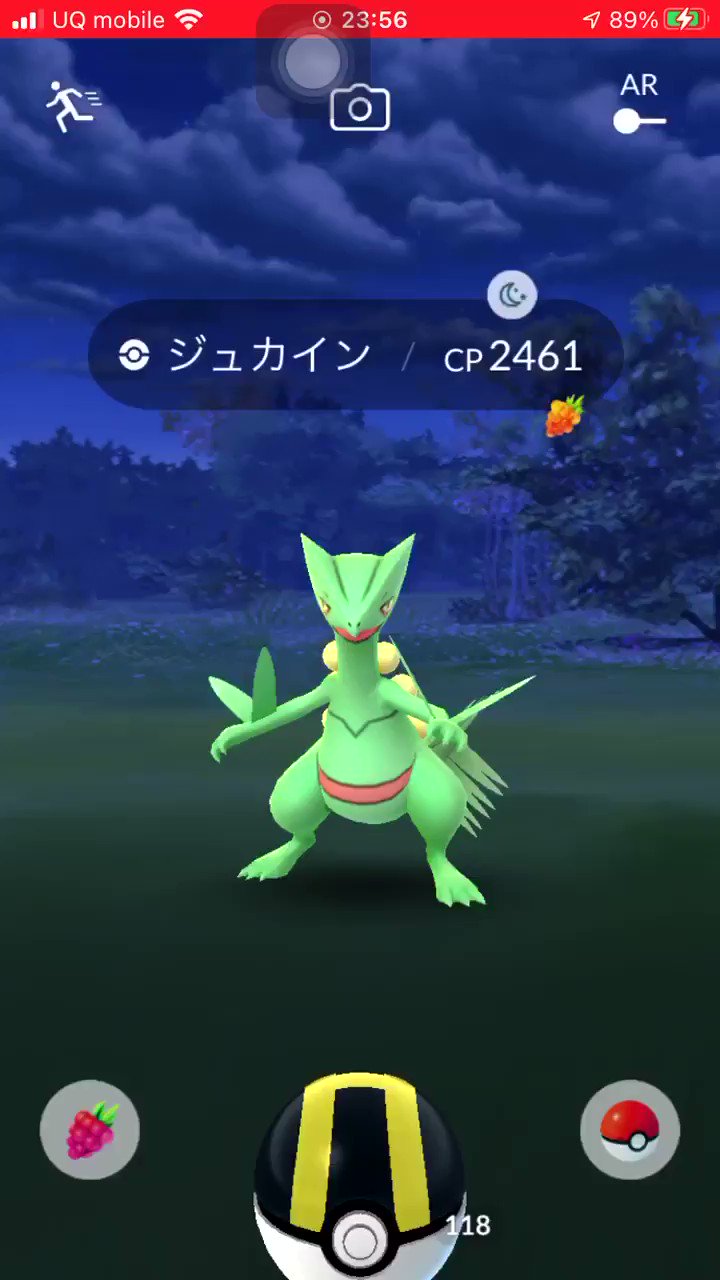 ポケカツ っ W ジュカインって 野生で出るんだ 初めて遭遇したかも ジュプトルと思ってタッチしたら違った 笑 しかも 天候ブーストで個体値93 でpl33かpl34 使う予定が無いけど高cpだから捨てるのが勿体無い そして ボックスを圧迫