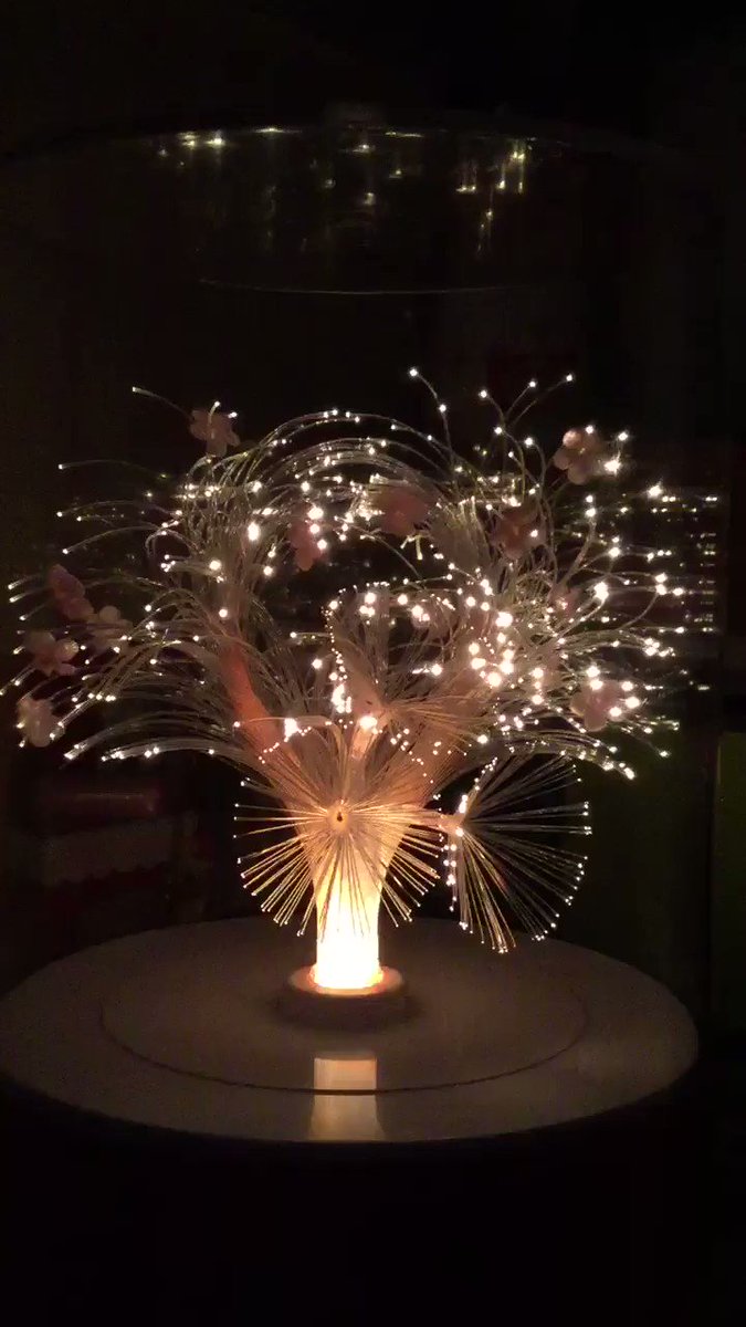 @zakkaokusama's video Tweet