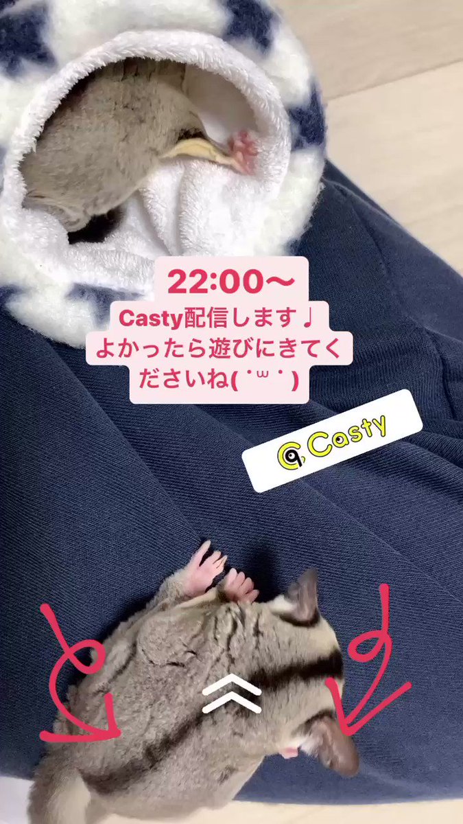 Apple の感情分析 Nyakone