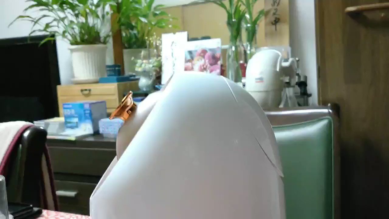 ハリアーマロンさま専用( ꈍᴗꈍ) コスメ・香水・美容 その他