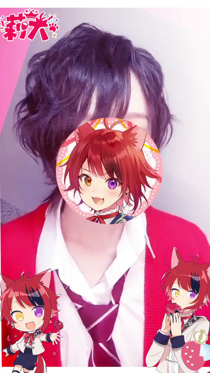 実写 莉 犬 くん