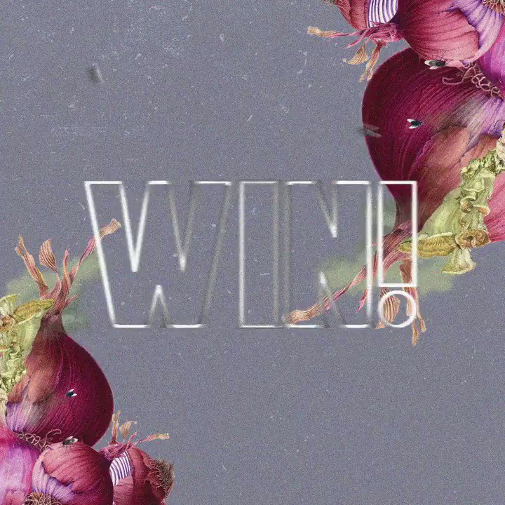 π§
@effinofficial is giving away a brand new hoodie to celebrate 'Onion'! Enter: https://t.co/yrv8TU9923
winner chosen on Friday :) https://t.co/b72ClUXiBn