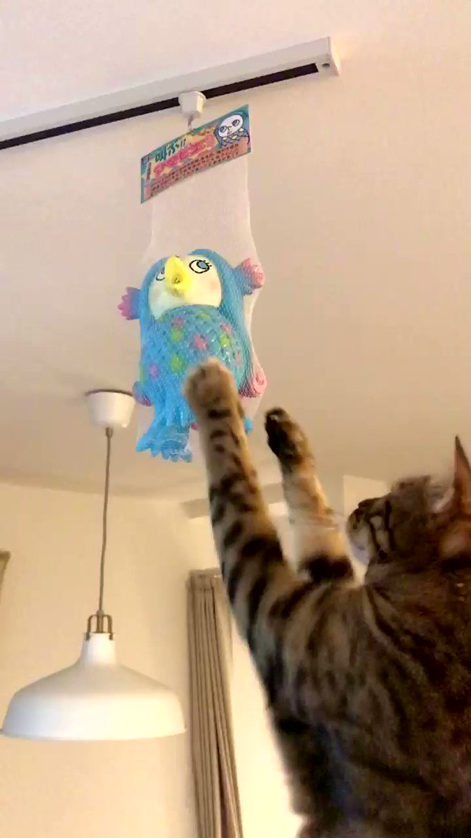 叫ぶアマビエちゃん