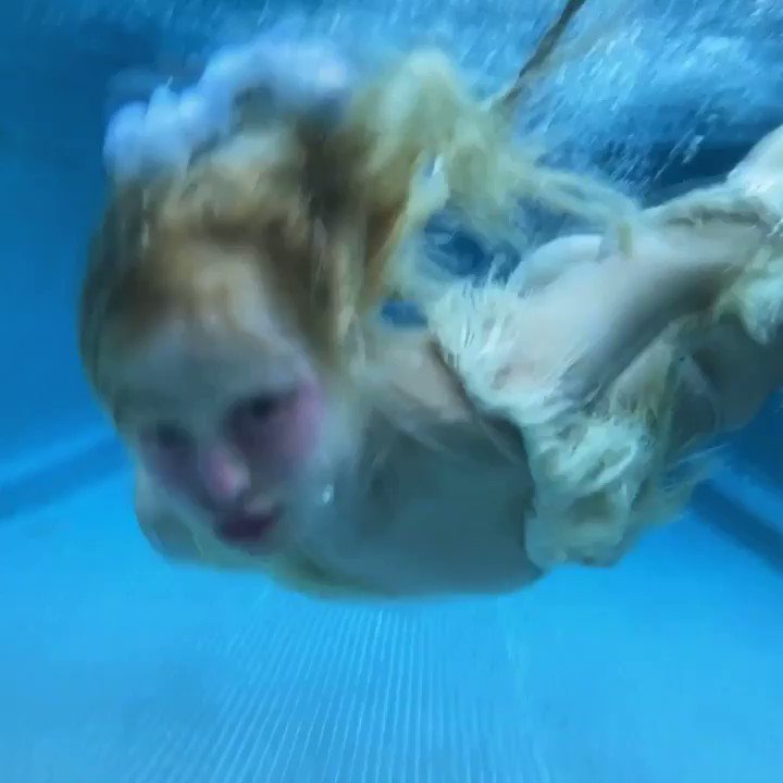 Petite Meller - https://t.co/mewORbmLEf  “And art is just forever my love”, I dedicate it to all of us, our heart quarantine, To give you tears of relief for a new 2021!  