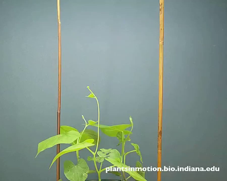 @wonderofscience's photo on Indiana
