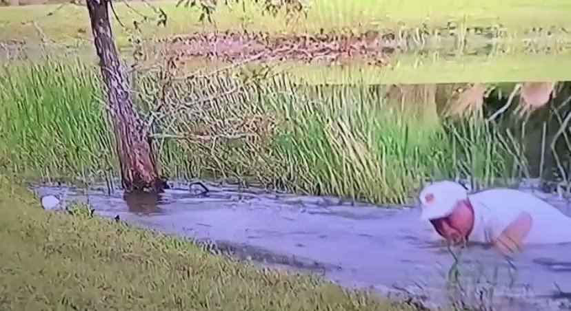 saved the puppy from getting eaten by an alligator and never dropped his cigar, a true legend https://t.co/ryRSfZqOsy