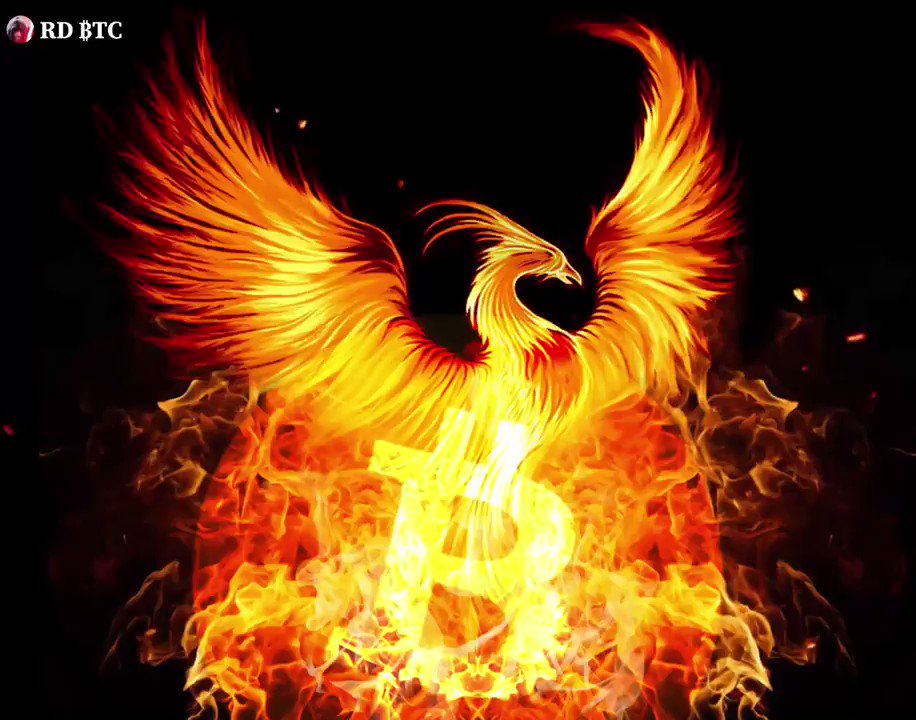 #Bitcoin rises like a Pheonix from the flames, the flames of cyberspace..! π₯π₯ https://t.co/nI3kvSJU99