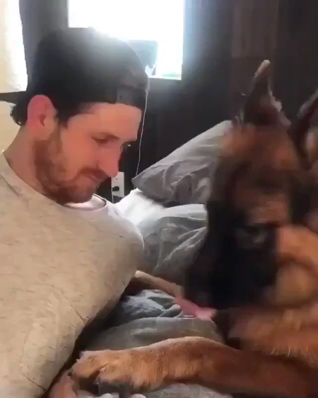Repobet (@RepobetSpace) on Twitter photo 24/11/2020 18:21:04 Hayvanlar dünyanın en temiz varlıkları😍 Hayvanlar dünyanın en temiz varlıkları😍