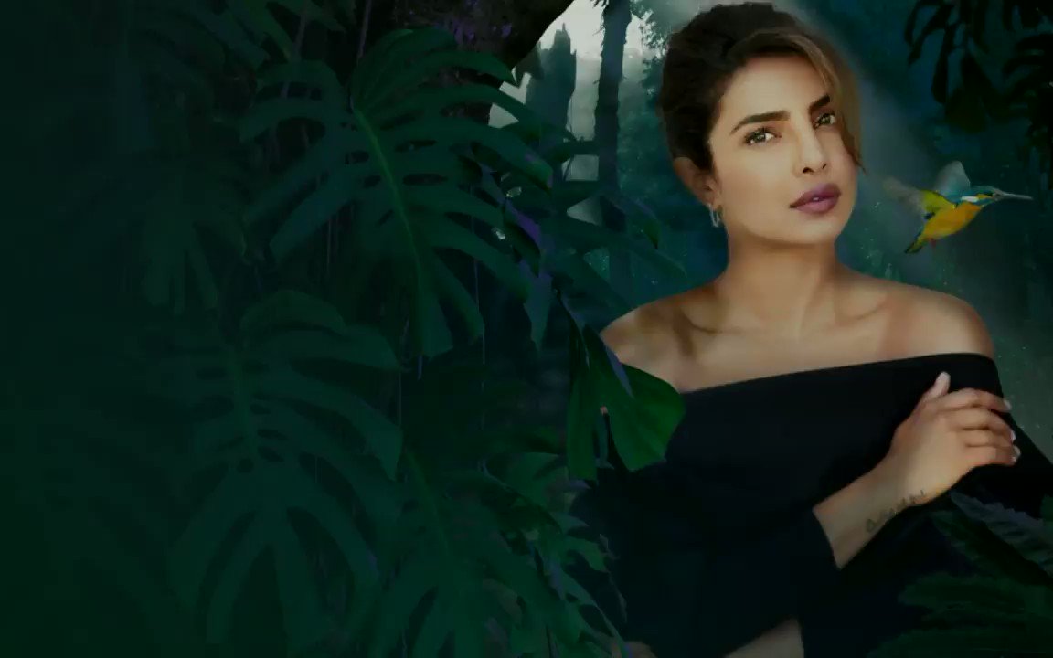 That voice 😍
In our newest Sleep Story, @priyankachopra takes us on a journey to the Amazon rainforest, as a woman named Taleisha helps a lost kingfisher find its way home. Listen now on Calm: https://t.co/zIkaJJ1jOq https://t.co/7PjDf6Klcv