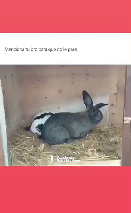 #24Noviembre #sexmex #latino #webcam #chaturbate #porno https://t.co/G9JNIBjcaW<a href="/tag/24noviembre"class="tags">#24Noviembre</a><a href="/tag/sexmex"class="tags">#sexmex</a><a href="/tag/latino"class="tags">#latino</a><a href="/tag/webcam"class="tags">#webcam</a><a href="/tag/chaturbate"class="tags">#chaturbate</a><a href="/tag/porno"class="tags"><span>#porno</span></a>