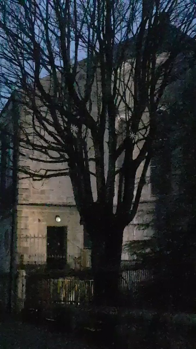 Bishop Lucey Park looks magical this evening #christmasincork #letitglow #christmasherewecome https://t.co/x1MisQWAGb