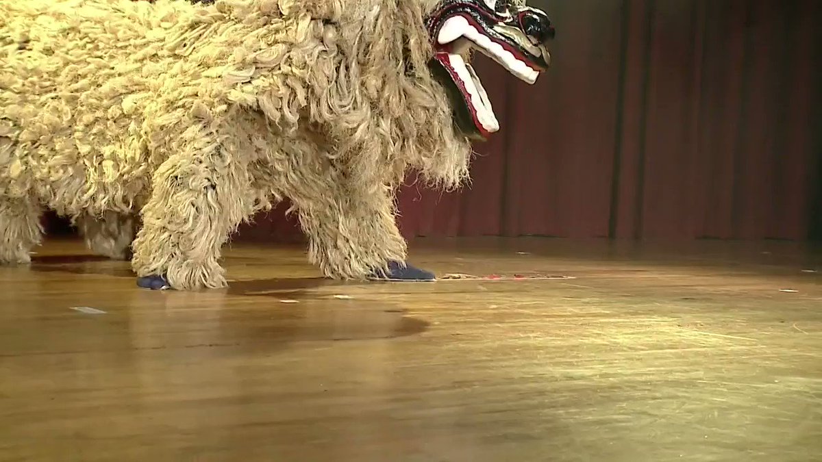 プロの獅子舞はやっぱりすごかった 大迫力の演舞 話題の画像プラス プロの獅子舞はやっぱりすごかった 大迫力の演舞 話題の画像プラス