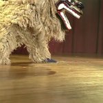 プロの獅子舞はやっぱりすごかった!大迫力の演舞!