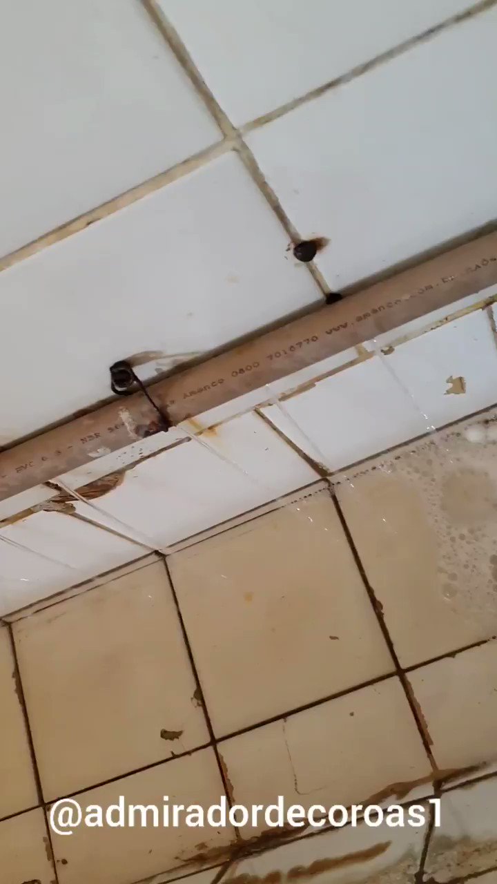 @admiradordecor1s video Tweet