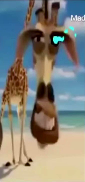 memes do discord nelman Madagascar