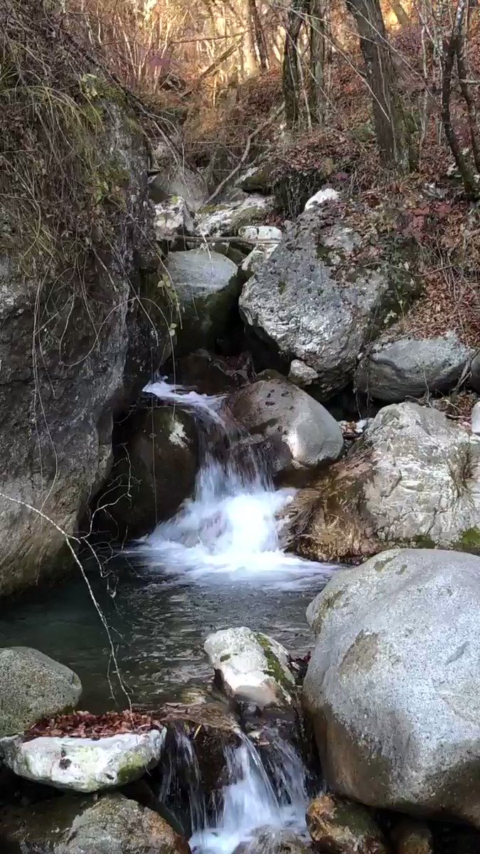 Spettacolare. Stamattina bella camminata da solo, non ho incontrato nessuno se non 2 caprioli....che pace...#lavorounapassione #gardatrentino #trekking https://t.co/Ea97EbsG3A