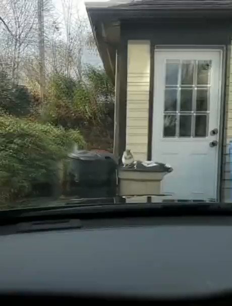 It gets me everytime
#memes #memesdaily #memes2020 #squirrel #animals #cars #funny https://t.co/pmqEaYn3dO