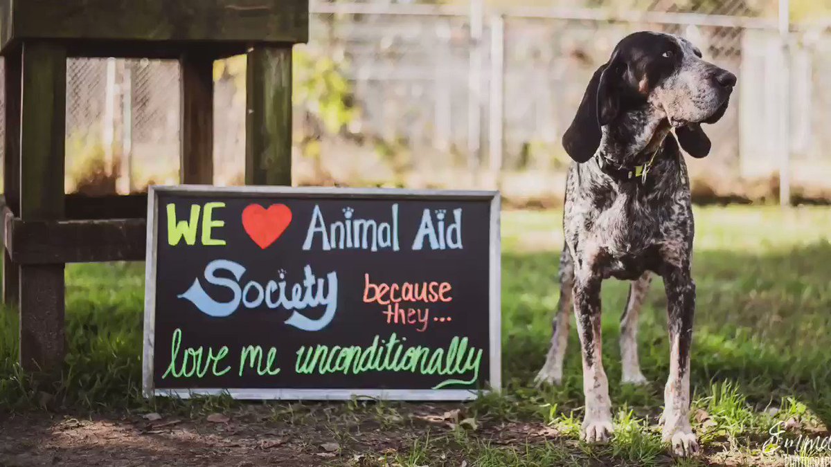 Animal Aid Society (@AnimalAidSoc) / Twitter