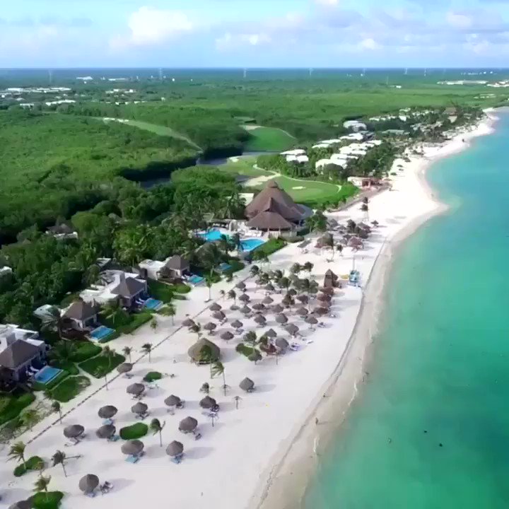 Greg Norman (@SharkGregNorman) on Twitter photo 01/12/2020 23:00:37 Stunning views from our GNGCD-designed @GolfMayakoba highlighted by an exciting week of golf at the @MayakobaGolf ⛳ Stunning views from our GNGCD-designed @GolfMayakoba highlighted by an exciting week of golf at the @MayakobaGolf ⛳