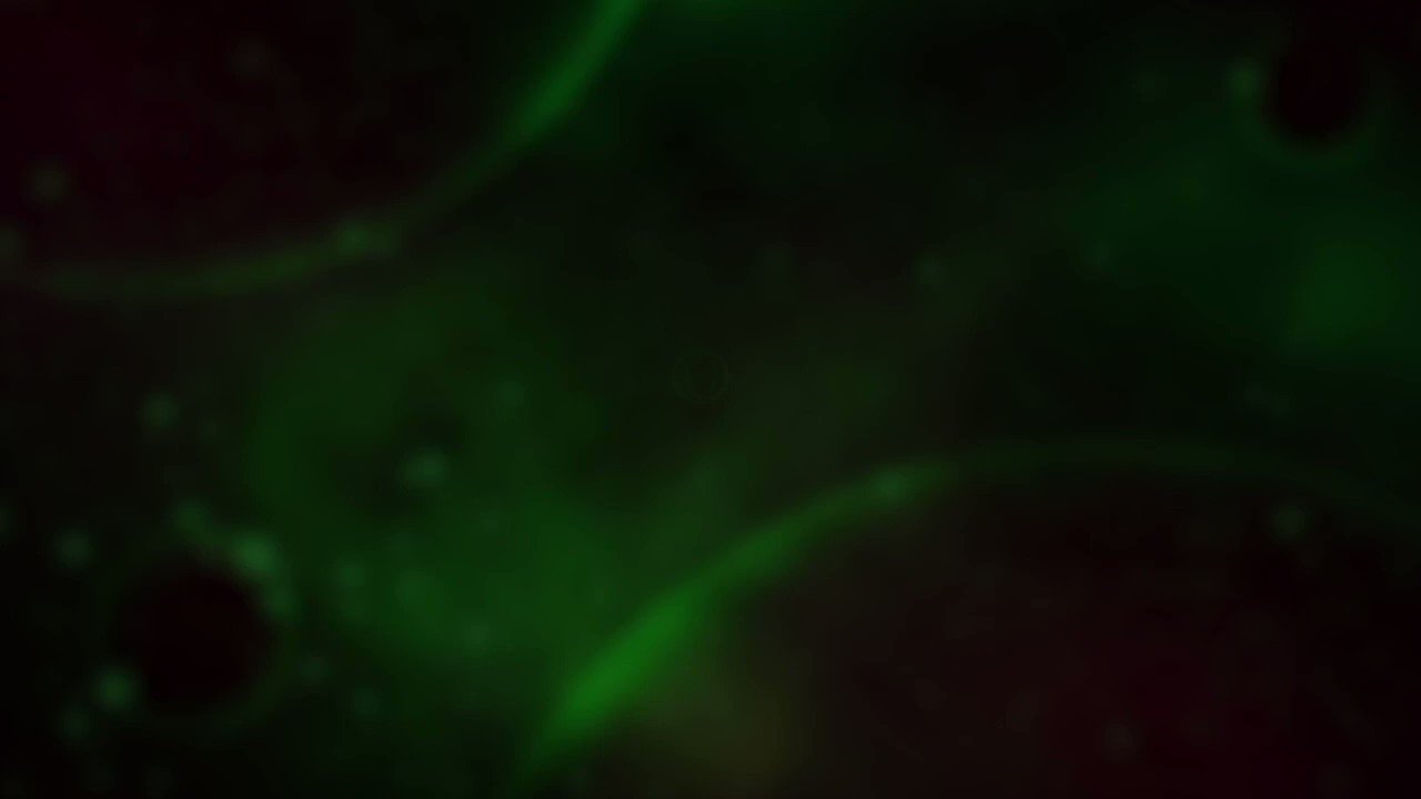Razer enables custom Chroma lighting effects for Opera's gaming