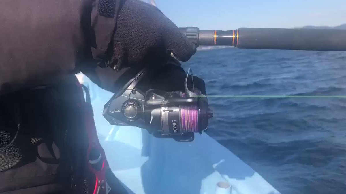 小泉 貴久 プロアングラー 今夜ストラディックsw 6000xgのインプレを公開予定です 一通りいじってツインパワーswと比較しました 比較対象がステラsw ツインパワーswしかないポジションなので劣等感抱きそうなポジションのリール