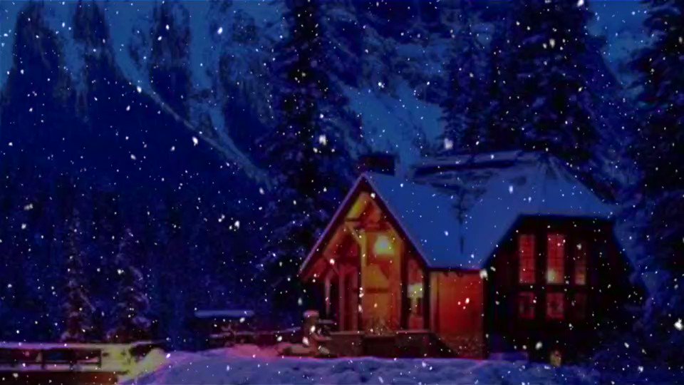 Nicole Seiberlich ☮️ on Twitter "It's my favorite time of year