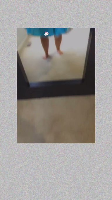 PUPPY CAT’s pics and videos