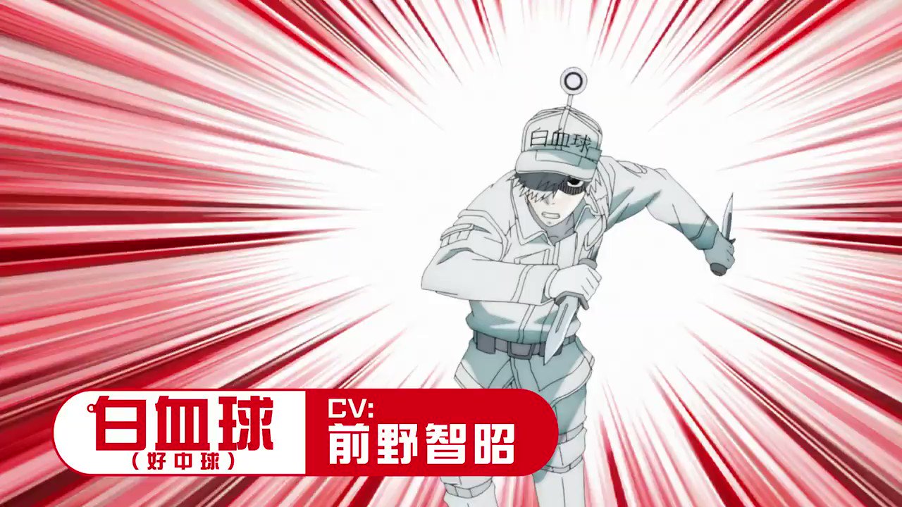 Hataraku Saibou !! - Novo comercial da segunda temporada conta com a presença dos Leucócitos. - Anime United