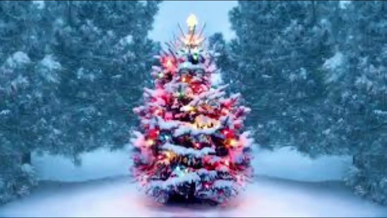 Reddam House on Twitter "RHBjuniornews Happy Holidays https//t.co