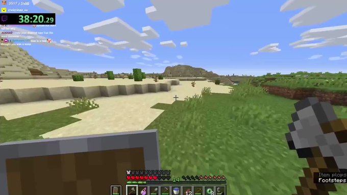 WHEN I SPEED RUN MINECRAFT https://t.co/tjid35rQS9