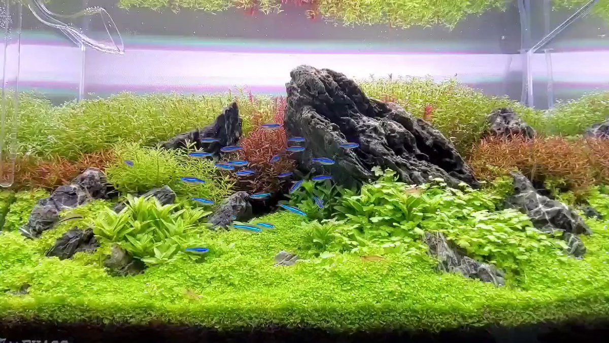  クイッズウェアープラントポット ZABOU style 2021～ハーレーのシェットランドセーターをサイズ